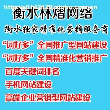 【衡水企业网站seo优化|衡水网站优化制作】,价格,厂家,图片,供应商,商务服务,衡水林熠网络科技 - 产品库 - 阿土伯交易网
